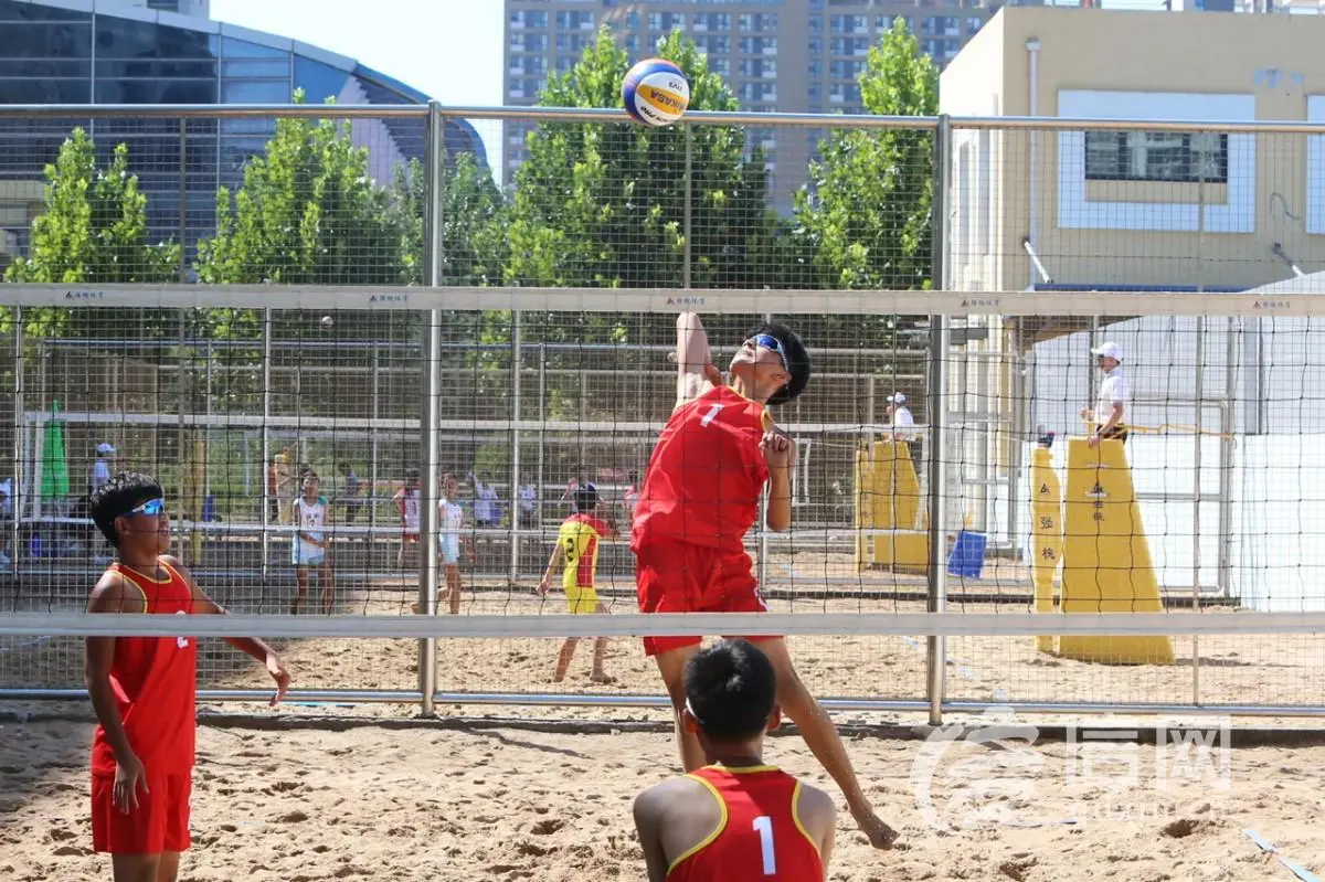 为培育沙排, 谷正原, 组成