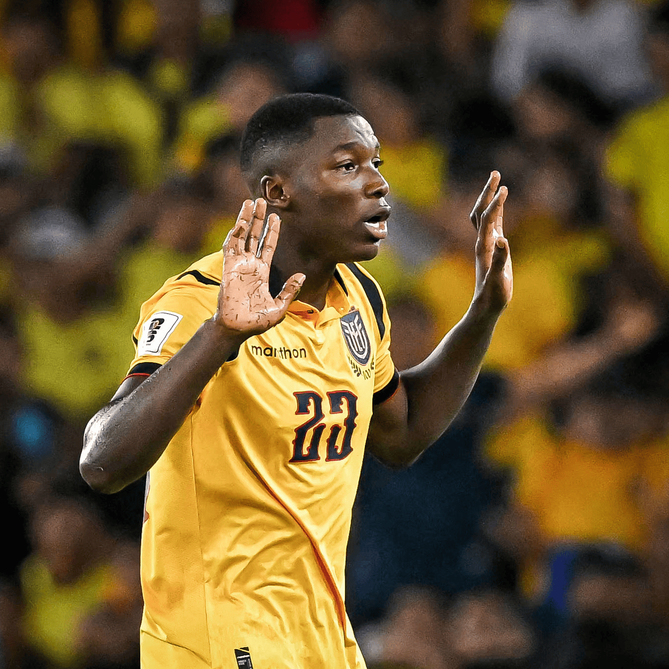 上并没有执, 罚不在赛后, 凯塞多可能 上并没有执, 罚不在赛后, 凯塞多可能